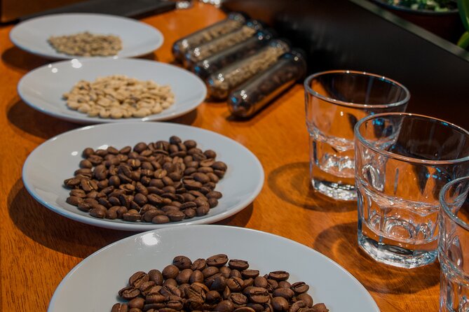 N1 Coffee Tasting Experience in Buenos Aires - From seed to roasted bean
