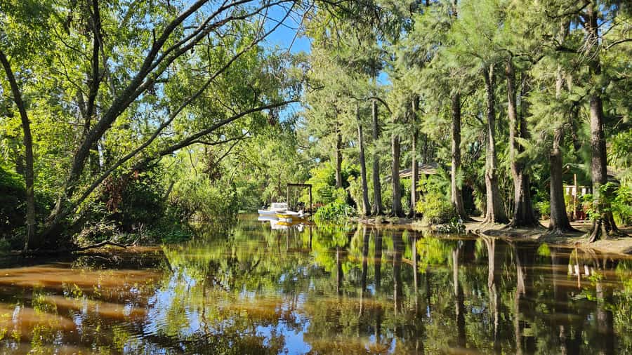 Navigation in Delta of Tigre - Exclusive semi private tour - Why a Small Boat Changes the Delta
