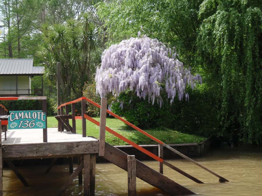Navigation in Delta of Tigre - Exclusive semi private tour - What the Five Hours Really Include