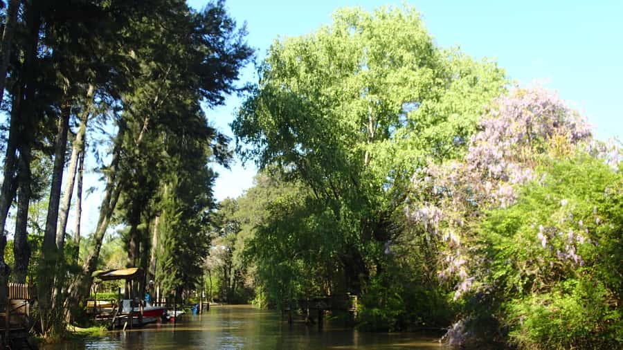 Navigation in Delta of Tigre - Exclusive semi private tour - Is $135 Per Person a Fair Price?