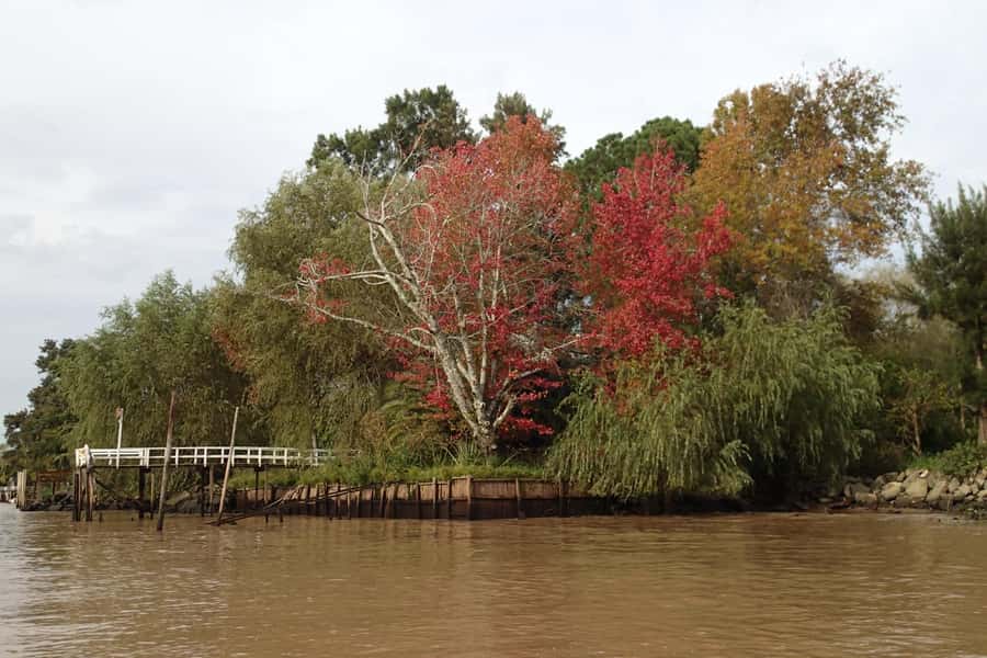 Navigation in Delta of Tigre - Exclusive semi private tour - Rain, Refunds, and Flexible Planning