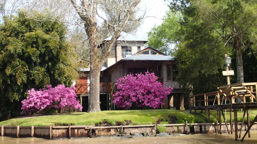 Navigation in Delta of Tigre - Exclusive semi private tour - Who Will Enjoy This Tigre Delta Trip?