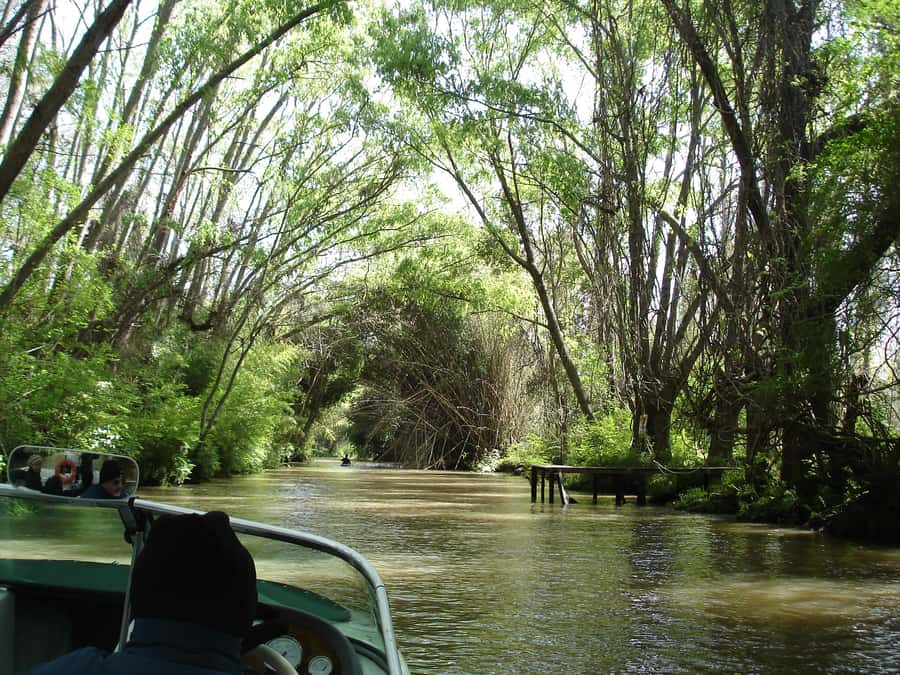 Navigation in Delta of Tigre - Exclusive semi private tour - A Close Look at Delta Life