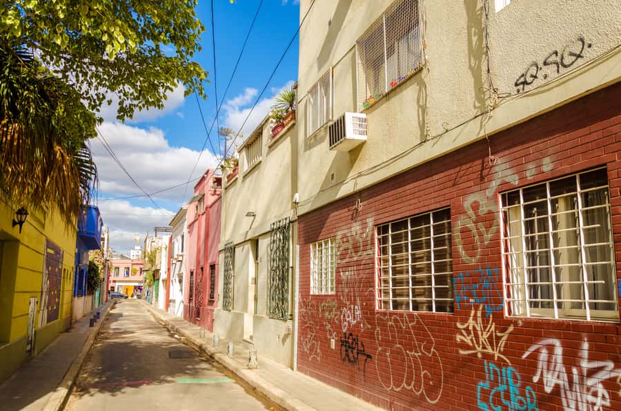 Palermo: Graffiti and Street Art Guided Tour in English - The Trump Wall at Madison Avenue Bar