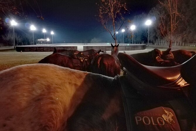Polo Under the Stars and Argentine BBQ Evening Venue from Buenos Aires - Key points before you book