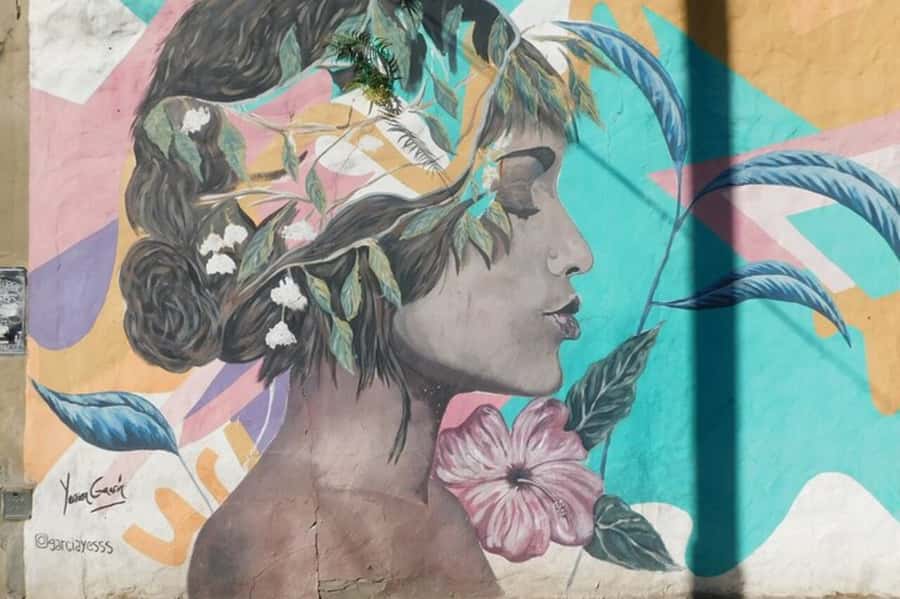 Premium Argentinian Wine and Malbec Tasting & Urban Art Tour - Starting in Palermo Soho at Gorriti 4882