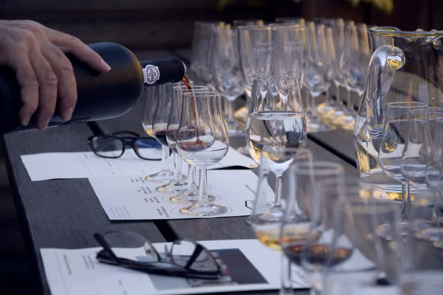 Premium Argentinian Wines and Malbec Tasting Experience - What the $50 price means
