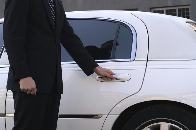 Private Arrival Transfer: Ezeiza Airport to Buenos Aires Hotels - A direct ride into central Buenos Aires