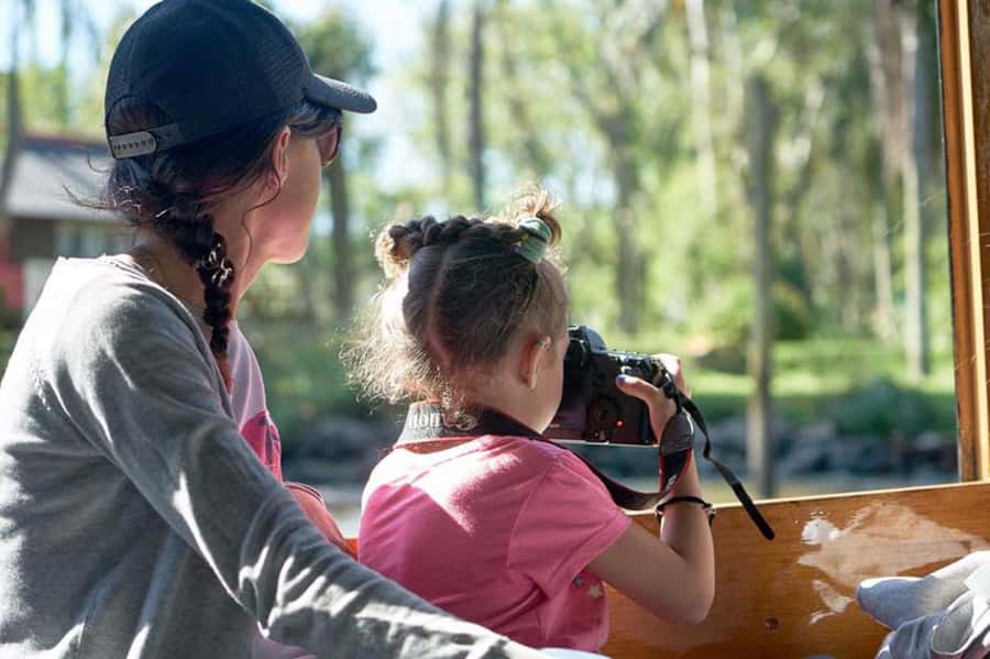 Tigre: River Delta Panoramic Boat Tour - Key points to know before you go