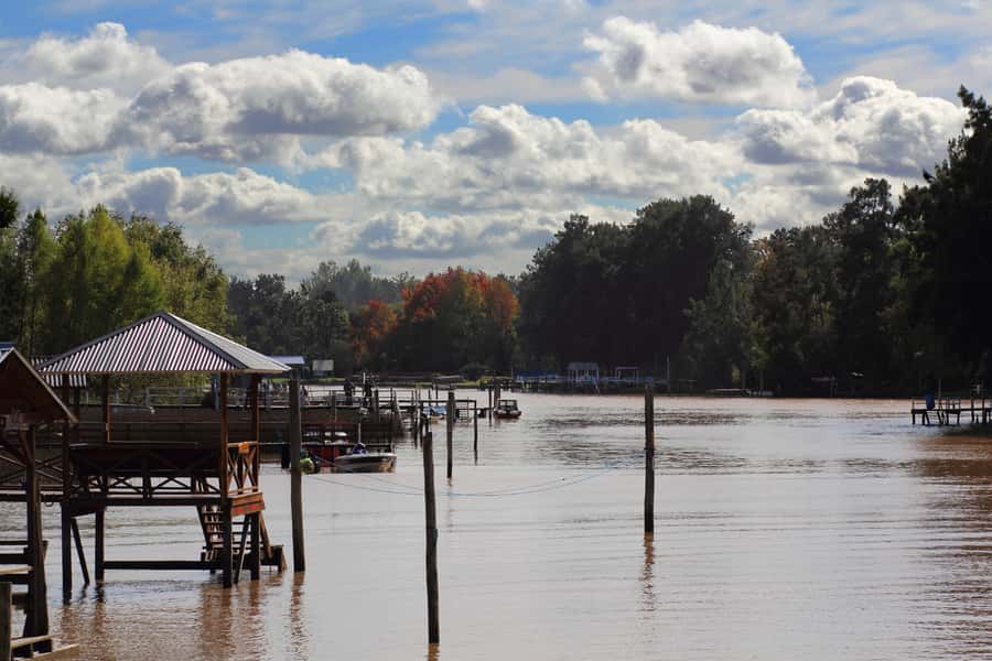 Tigre: River Delta Panoramic Boat Tour - The first stretch along the Luján River
