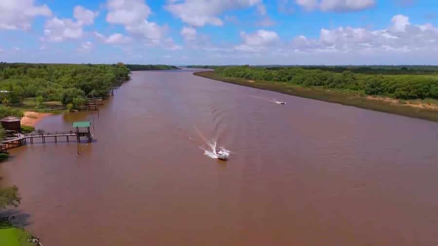 Tigre: Safari Náutico en Tigre/ Biosphere Reserve Boat Tour - Why this Tigre Delta trip feels different