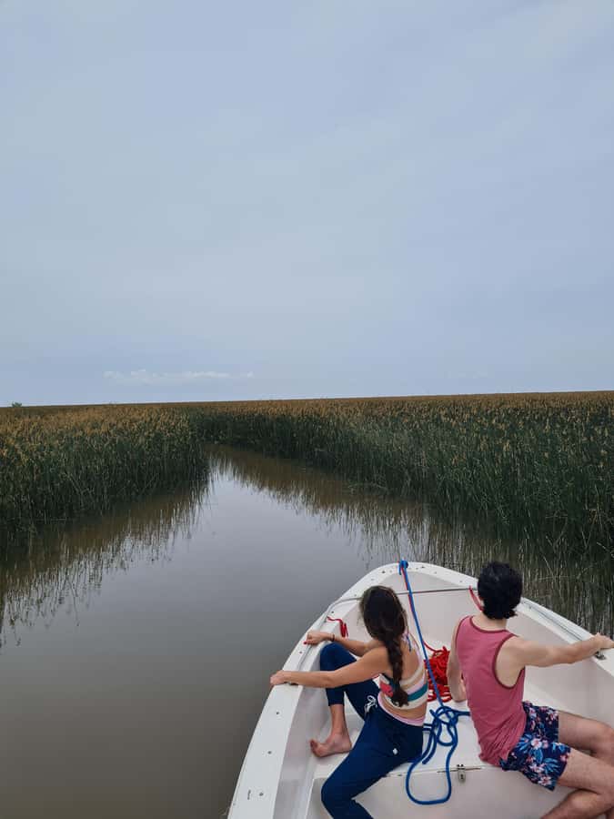 Tigre: Safari Náutico en Tigre/ Biosphere Reserve Boat Tour - From Tigre station to Tres Bocas