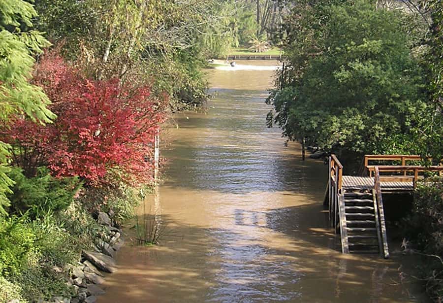 Tigre with Lunch overlooking the River and Navigation - Time, Pace, and Group Size