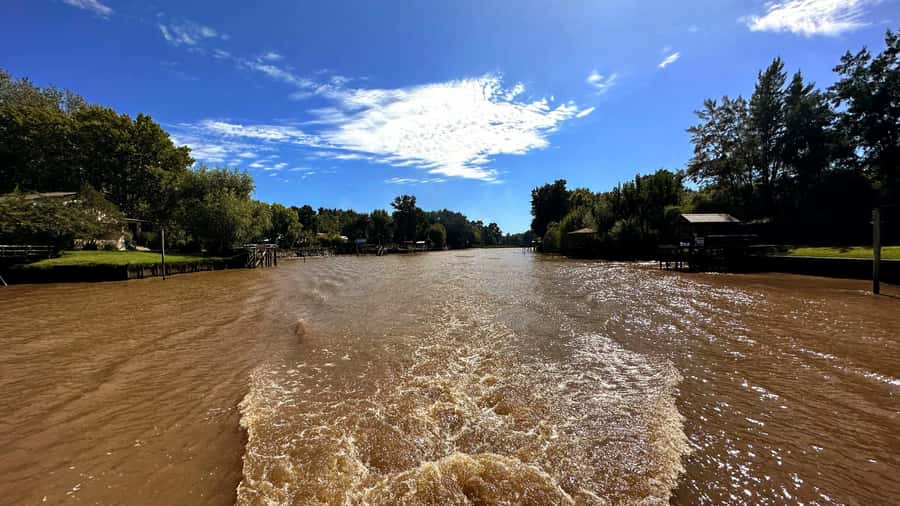 Unique Tigre and Delta Private Day Cruise Navegation - Who will enjoy this experience most?