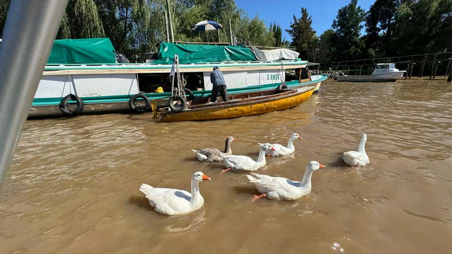 Unique Tigre and Delta Private Day Cruise Navegation - San Isidro and the cathedral stop
